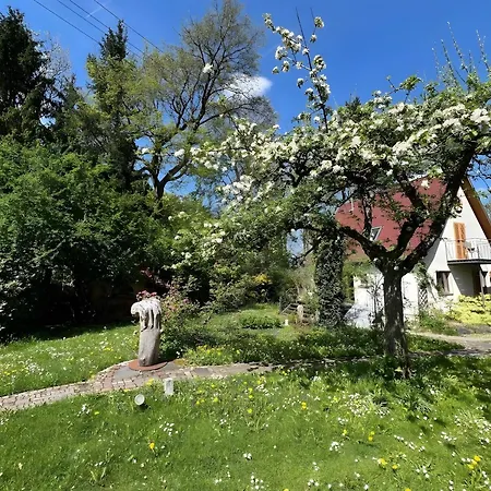 Allgaierarthaus Bad Waldsee